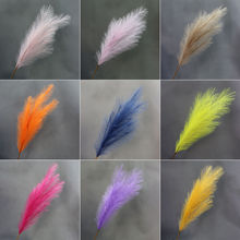 �W�t�����JȔ���՟�����ë��Y�b�����柟���̈���ꐻ�c����