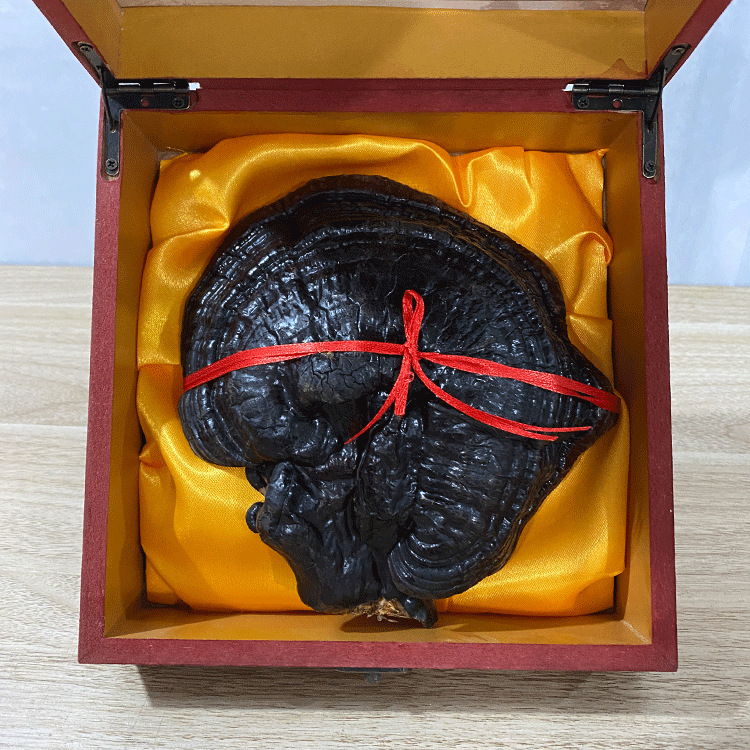 灵芝礼盒东北特产跑江湖会销礼品厂家销售长白山灵芝礼盒|ru