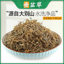 垂盆草中药材500g干货泡茶正宗野生药食用垂盆草干垂盆草锤盆草