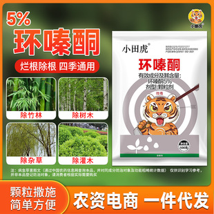 С�ﻢ�hຆL�h�ͪ���s�ݹ�ľ���������݄��w��