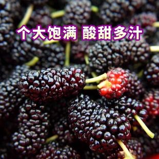 ���r�Fժɣ�ع��ЋDˮ��Ұ�����ݾƽ��������rɣ驾ƺ�ɣ�ع���