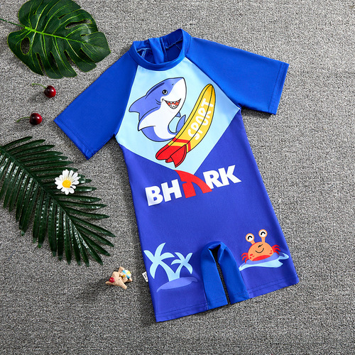 Children's swimwear boys 2025 summer new style one-piece sun protection for small children boys beach cartoon swimwear equipment