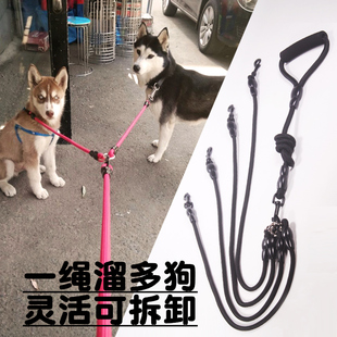 One tow two dog leash leash one leash slip multi-dog detachable two dogs large dog golden retriever medium and small dog Teddy