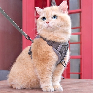 Cat Leash Trendy Pet Walking Tool Anti-Escape Outdoor Special Cat Leash Pet Harness Adjustable Chain