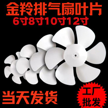 ȻȵҶҶҶƬ12 10 8 6 DҶ