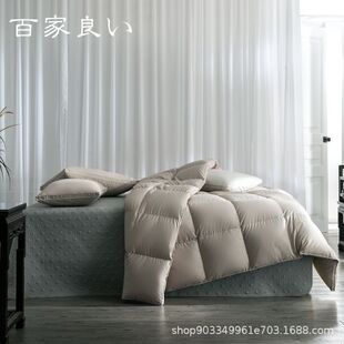 Customized cotton mute duvet 95 white goose down quilt spring and autumn quilt summer cool quilt hotel four seasons heating quilt wholesale