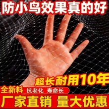 果园大棚加粗耐用尼龙网稻谷樱桃葡萄梨树草莓防鸟网鱼塘泥鳅天网