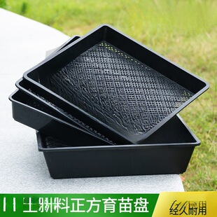 �Ӻ�ѿ������PѨ�Pѿ����бP����������l��ѿ��Nֲ�Ь����P