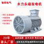 水力generator永磁发电机