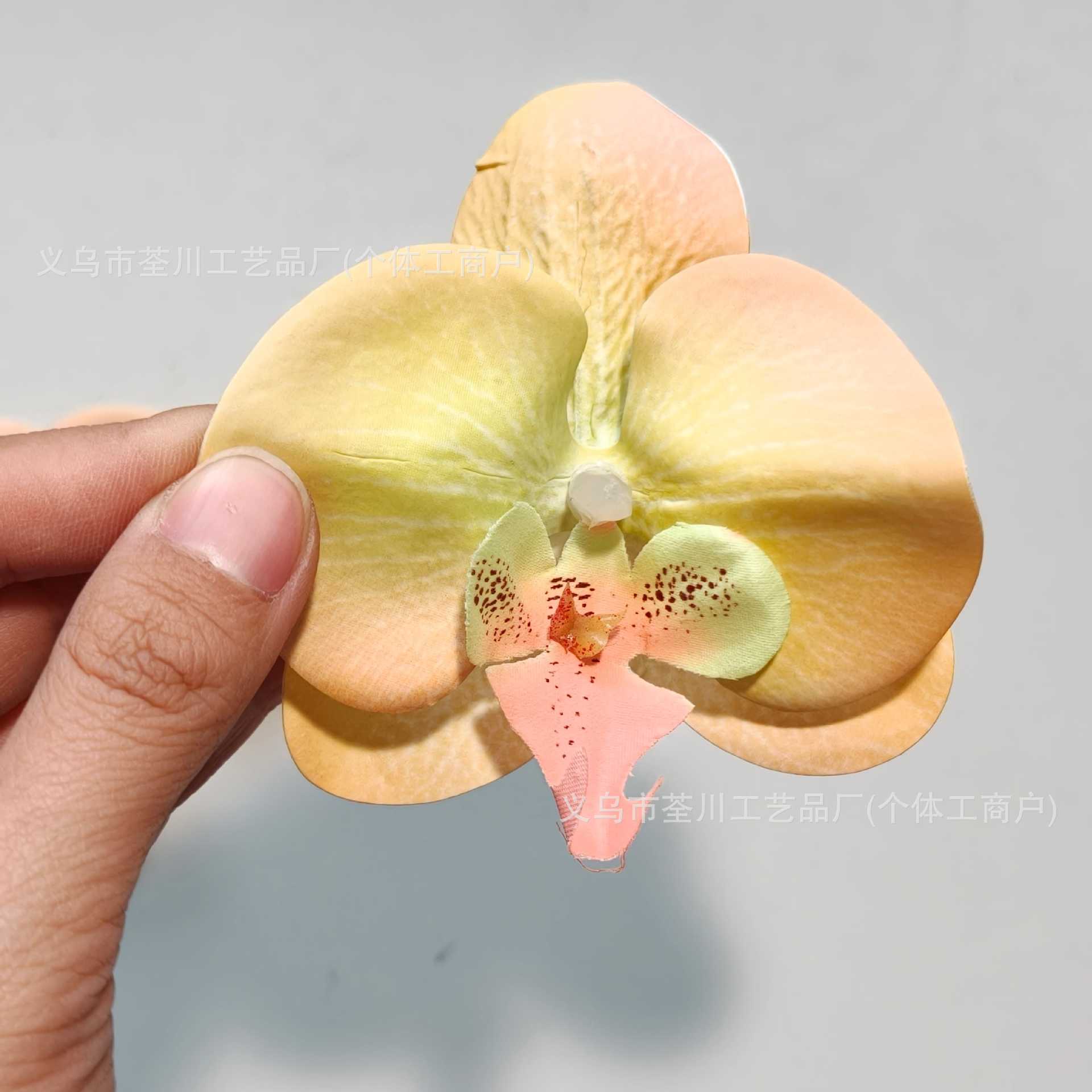 Apple pear