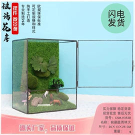 花盆容器;玻璃工艺品;微景观