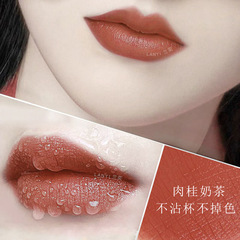 Lan Yiyueyan solid color raincoat lipstick does not fade and does not stick to the cup lip protection waterproof internet celebrity cross-border