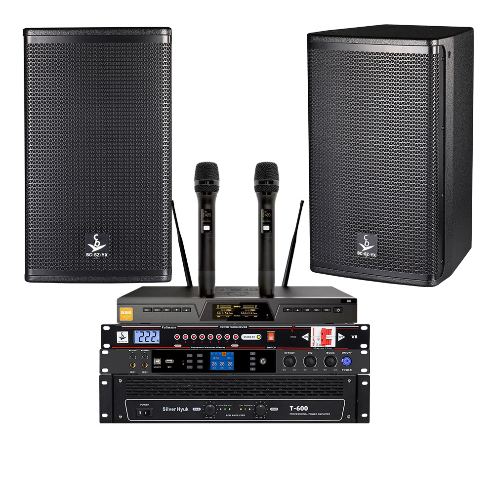 Sistema de audio para karaoke, conjunto completo, versión internacional, equipo de audio profesional para KTV, equipo de audio para bar y hogar.