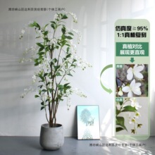 �߶˷��洹�z���򻨼پGֲ�����޾Ƶ�ܛ�b�Ҿ�������Ԕ[���b�