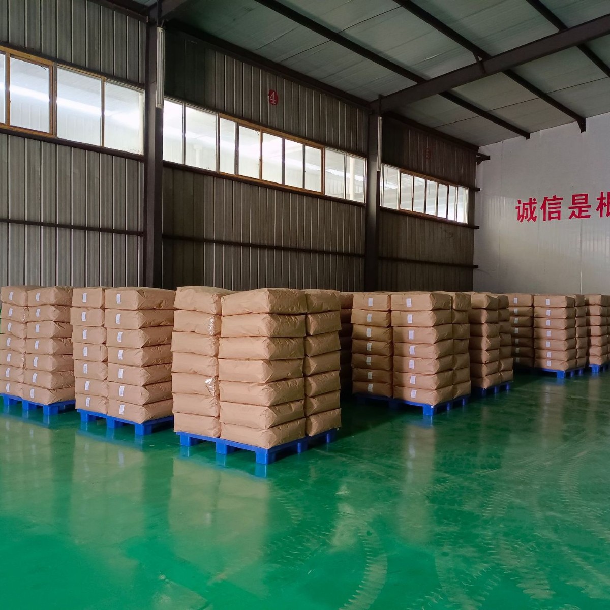 供应各种规格无农残绿片  提取 袋泡茶 保健茶原料 蒸青 烘青片