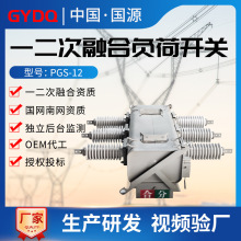 国源一二次融合柱上负荷开关PGS-12户外高压10kv六氟化硫真空开关
