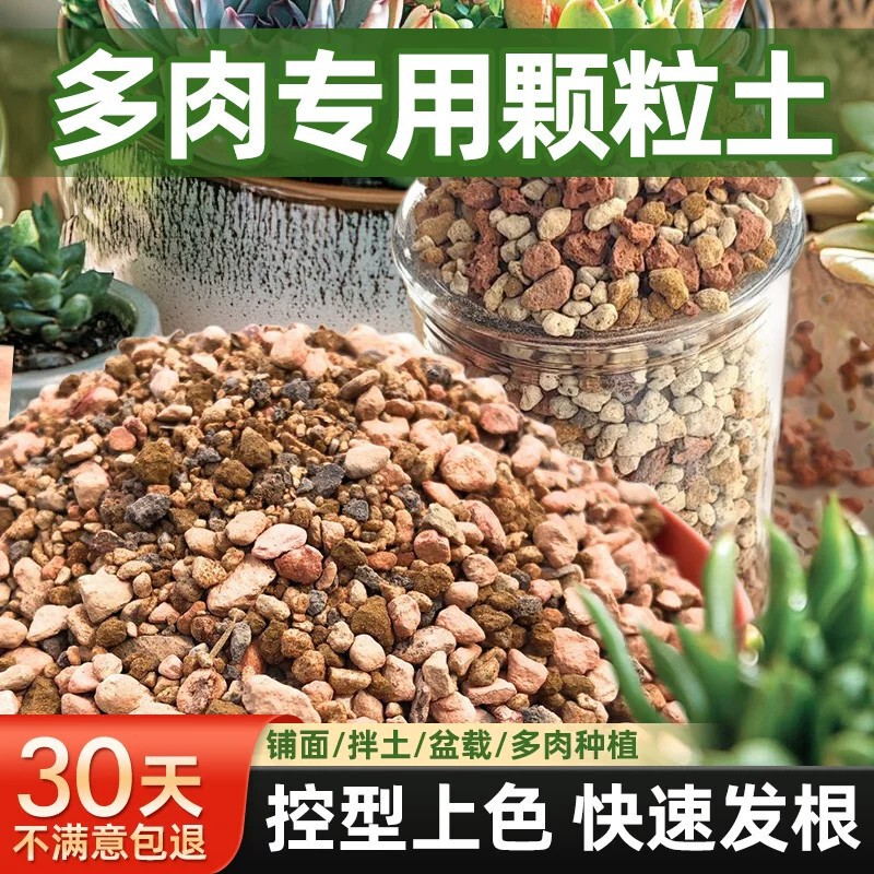 Specialized nutrient soil for succulents, granular topsoil, volcanic rock, peat planting soil, suitable for cactus and other succulents Specialized nutrient soil for succulents, granular topsoil, volcanic rock, peat planting soil, suitable for cactus and other succulents