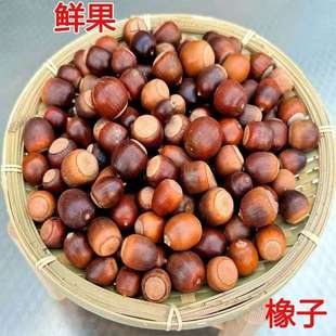 橡果干花榛果 干花大橡果 拍照道具 DIY材料 干花橡栗果 花艺材料-阿里巴巴