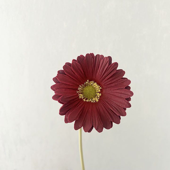 와인 레드