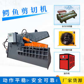 液压虎头剪切机大型金属煤鳄鱼剪切机160吨彩钢瓦鳄鱼剪切机图片