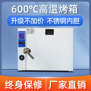 �ߜع��I����500��늟���L������600�Ȍ����늺��l������������