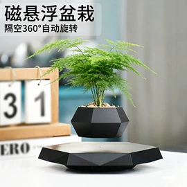 教学演示用品;塑料工艺品;地球仪