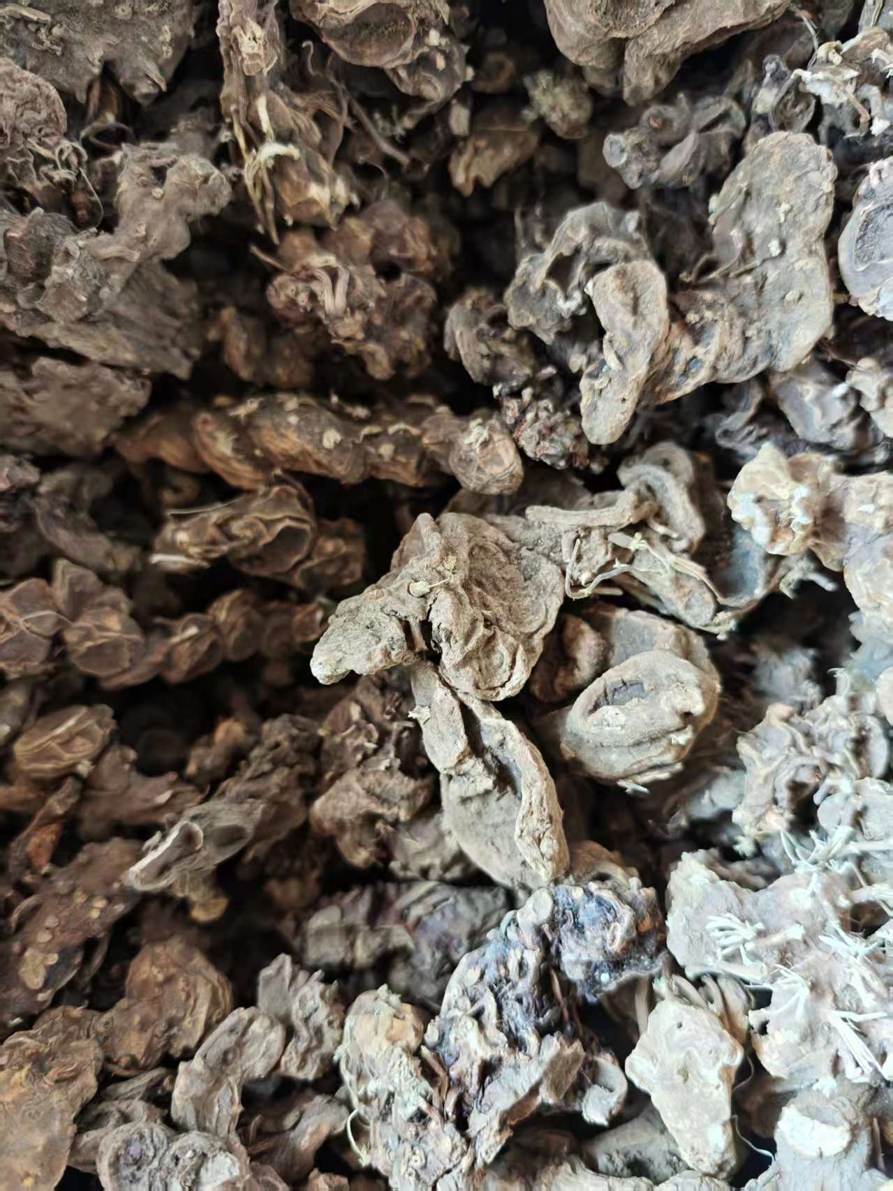 Ba Jiao Lian (Dysosma versipellis) — Dried Chinese Herbal Rhizome, 500g key features