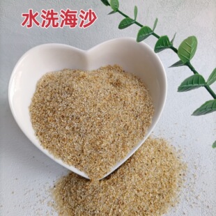 �F؛ˮϴ��ɳ20-40Ŀ�Sɫ��ɰ�w������ɳ���~��䁵��쾰�^�V��ɰ