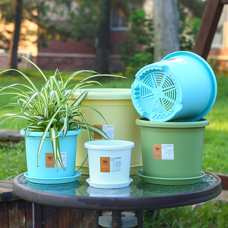 Maceta profunda con control de raíces para todo el año