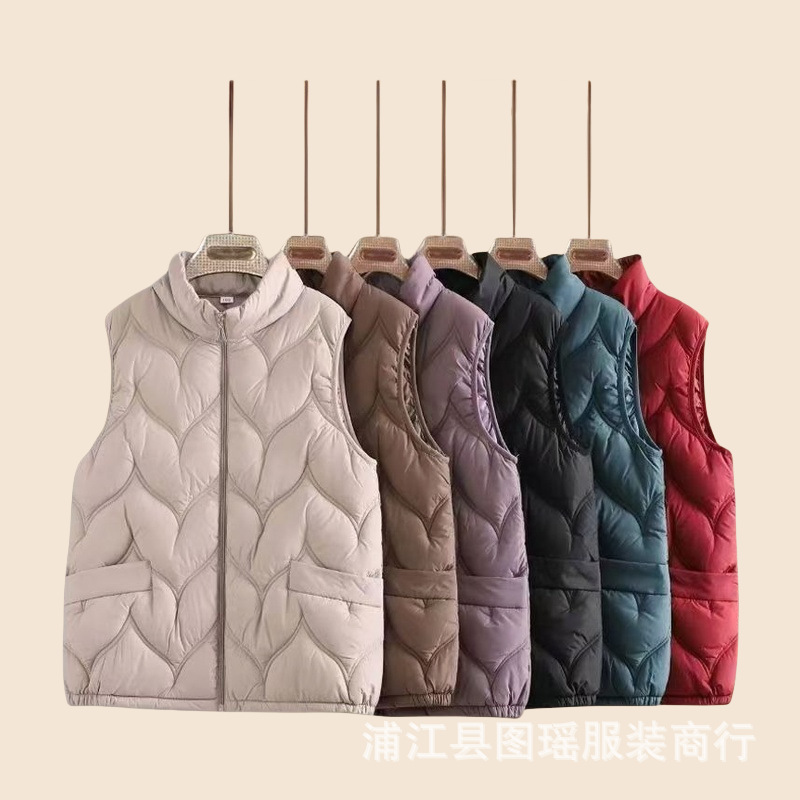 2025 Autumn and Winter Thin down Cotton Vest for Mothers, Large Size Stand Collar Cotton Waistcoat, Middle-Aged and Elderly Women's Tops and Vests Wholesale