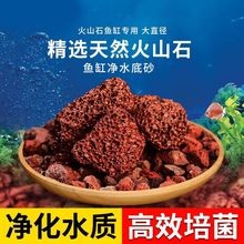 天然火山石颗粒古法鱼缸底石红火山岩过滤材料底砂园艺铺底石专用