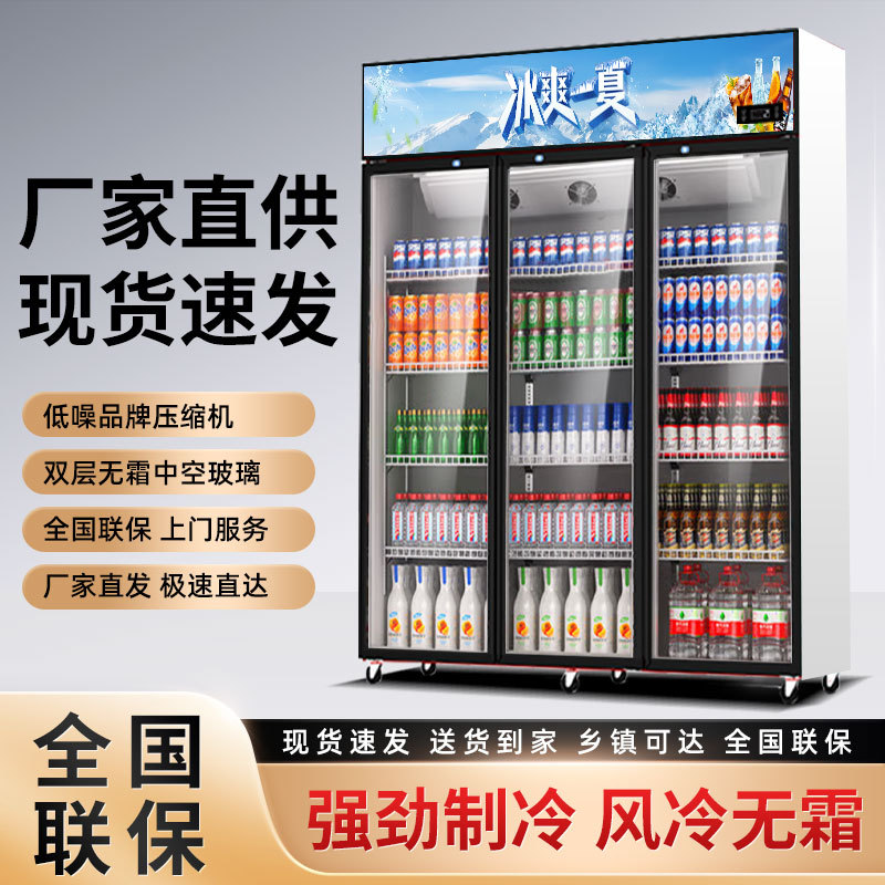 Beer Cooler Display Cabinet Commercial Supermarket Bar Restaurant Refrigerator Double Door Manufacturer Supply