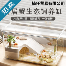 寄居蟹饲养箱套装小型桌面爬宠盒相守蟹螃蟹生态养殖箱乌龟饲养缸