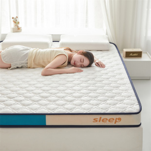 Thickened Latex Mat Soft Mat Memory Sponge Mattress Bed Bottom Student Dormitory Hotel Wholesale Tatami Mat