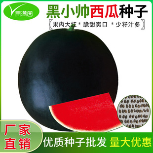 ���Ժ�С���o�����ϷN�Ӻ�Ƥ�tȿ���|ˬ�ڶ�֭�Ƕȸ��̨ͥԺ�N��