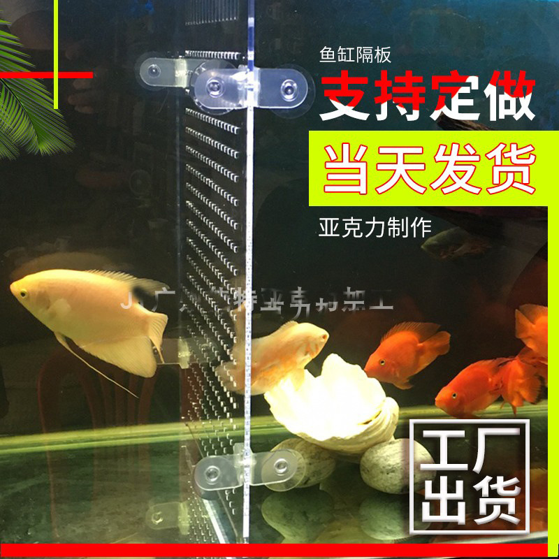 fish tank A partition Isolation plate Isolation plate Fry Cover plate Aquarium Isolation Network baffle Acrylic wholesale