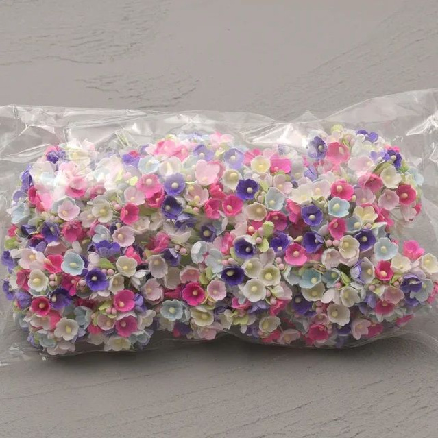 다섯 가지 색상