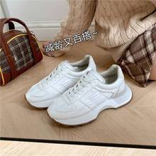 ƤA^ϵӖЬŮ2025ļ¿eСЬ\ӰЬ