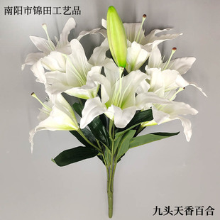 �߼��б����������ٺϻ����콁���Gֲ�������l�[���͏d��c�b�