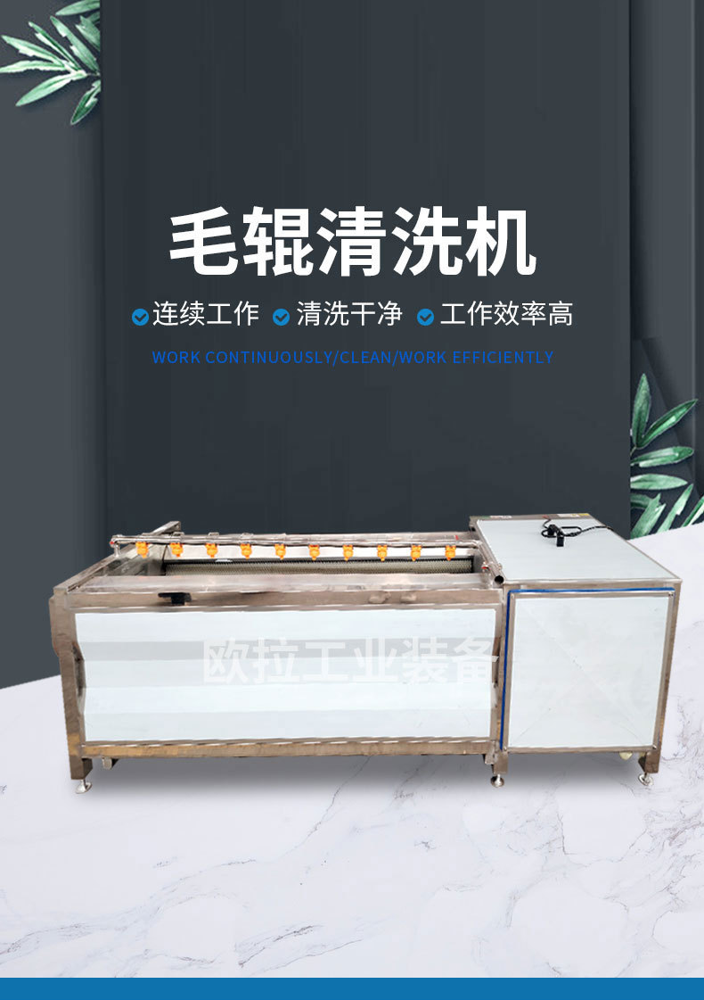 欧拉-毛辊清洗机_01.jpg