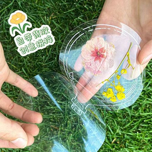 Dried Flower Page Border Transparent Flower Sealed Film DIY Dry Flower Bookmark