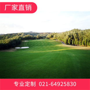 Sports Field Natural Grass Football Field Natural Grass Golf Course Natural Grass Green Grass Natural Grass