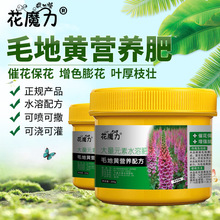 ë���S���àI�B�������ϻ������Rָ픻������R���K���ļ��û���