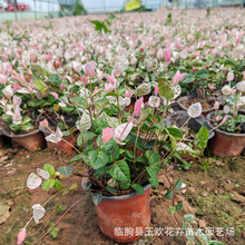 ���~�jʯ���ز��~�jʯ�҃��̨�ڼt���m����ֲ�����ٻ��ܳ�����