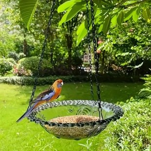 2024 cross-border new acrylic bird feeder wild bird feeder outdoor hanging bird feeder wholesale