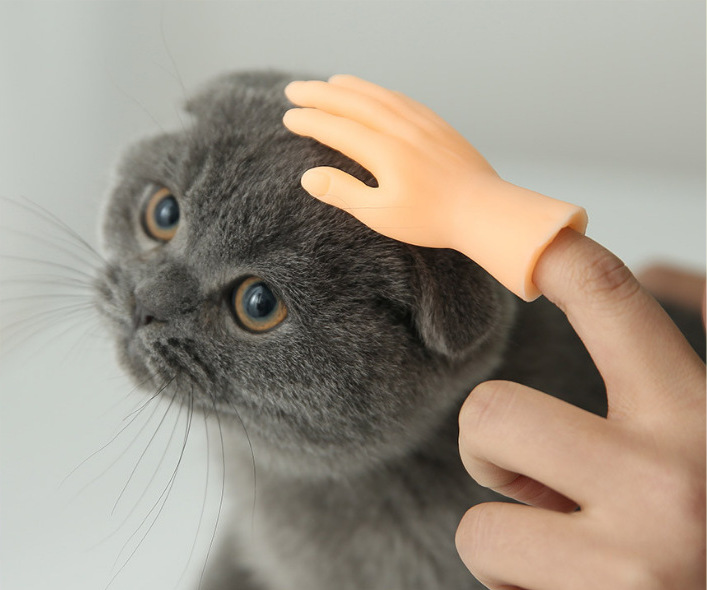 3a75ac672544c77d5b454a33564872