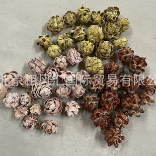 ��ľɏ�����M�ڸɻ���Ȼֲ����Ȼ���ҾӔ[�O�b廨���յ���