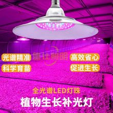 ledֲat{raݮ߲˴﷨a⌣I