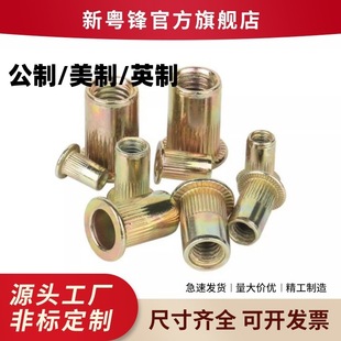 �F؛���l ��\���T��ĸ ƽ�^�Q�y�T��ĸ С���^���T ���������T