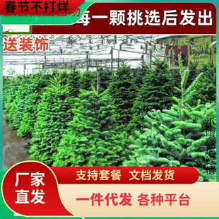 һ�����l����}�Q�����������Ų���ɼ�������Zؐ������ɘ��}